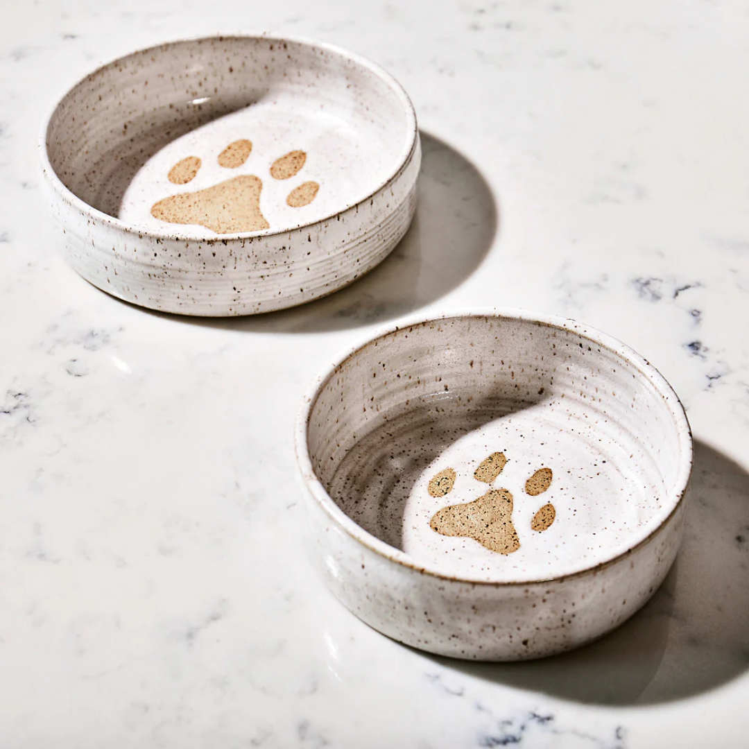 Ceramic_Dog_Bowl_Mollie_Jenkins_Pottery.png